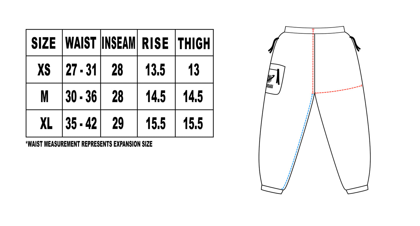 Purple Panorama Lined Track Pants