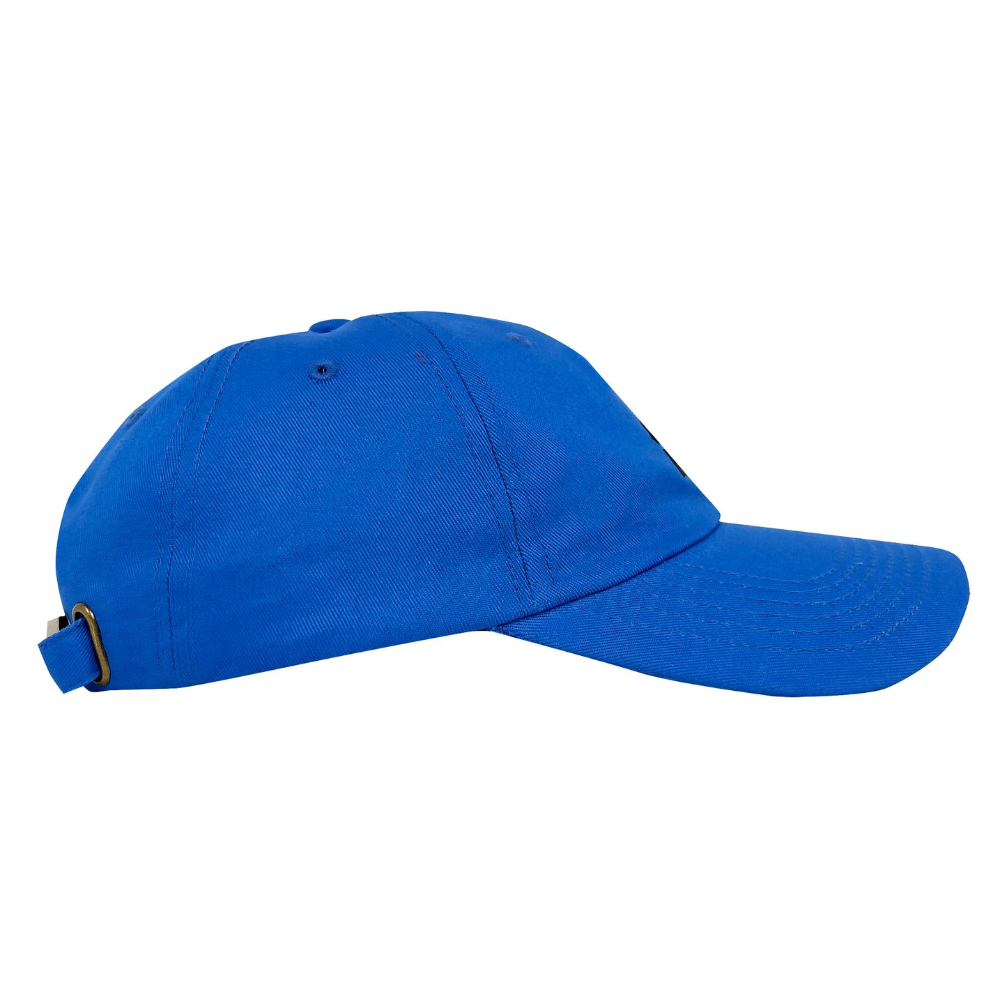 Blue Panorama Dad Hat